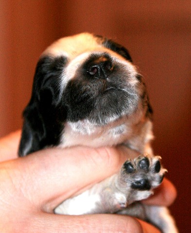 Po siedmyh dňoch, január 2011